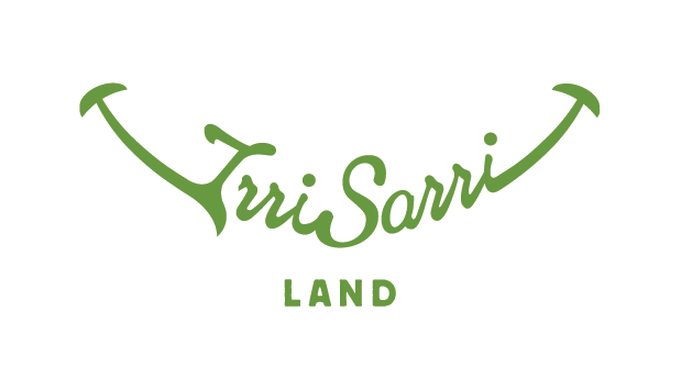 Logotipo de Irrisarri Land